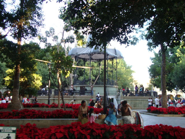 Tarde en oaxaca