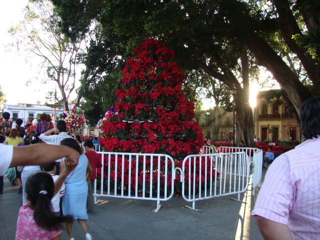 Centro de Oaxaca